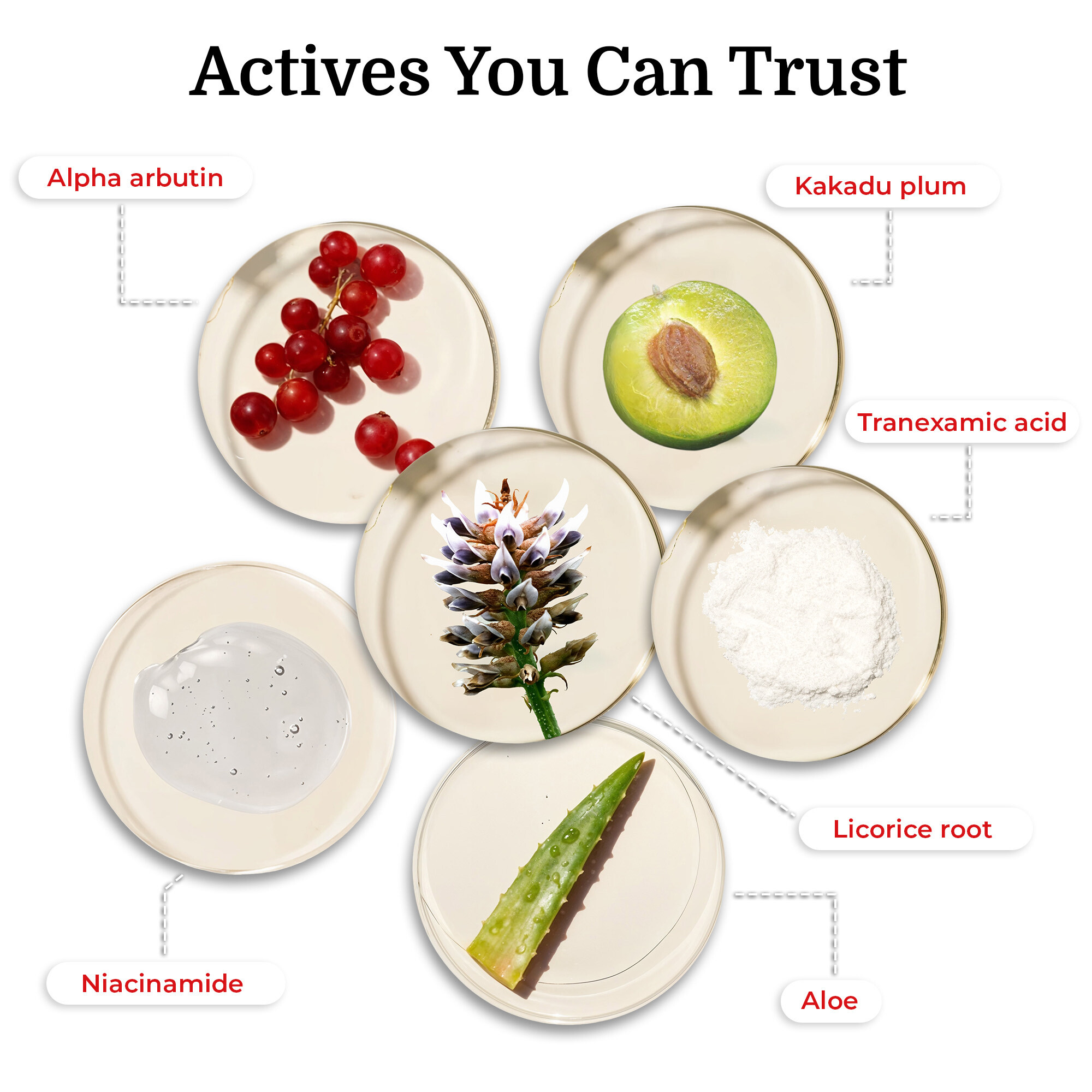 Dear Kitty actives you can trust: alpha arbutin, kakadu plum, tranexamic acid, niacinamide, licorice root, and aloe